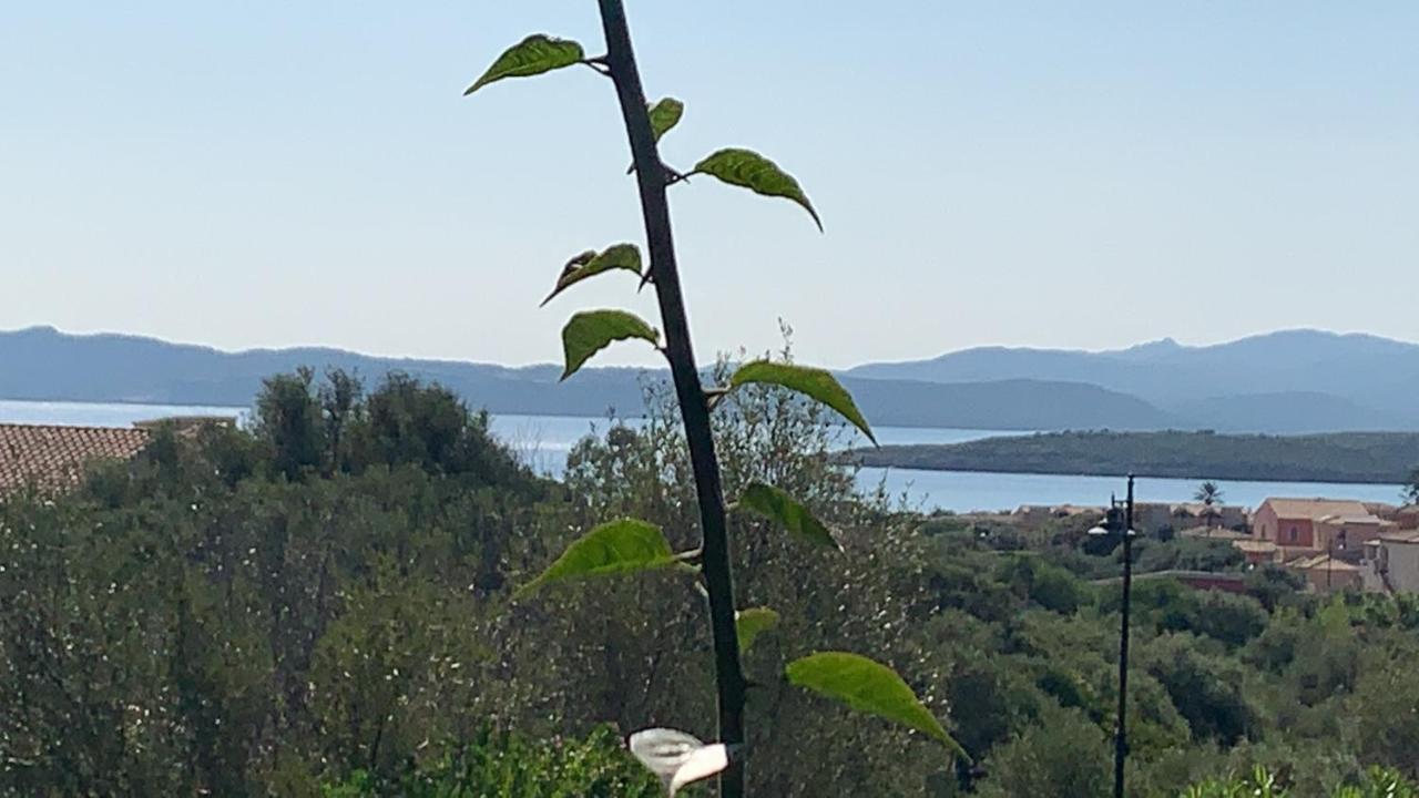 Casa Adelaide, oasi di pace con vista mare Villa Olbia Bagian luar foto